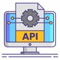API Integration