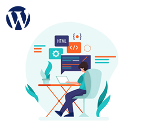 WordPress Plugin
Development