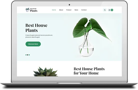 Make your website’s appearance more
Professional and captivating