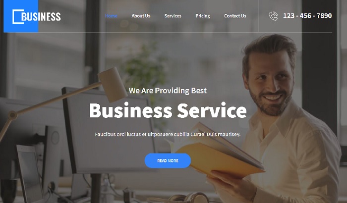 Local Business Lite