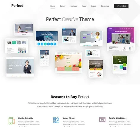 Simple WordPress Theme