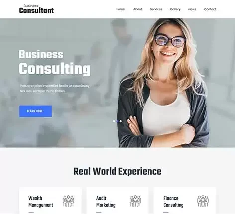 Tax consultant WordPress theme
