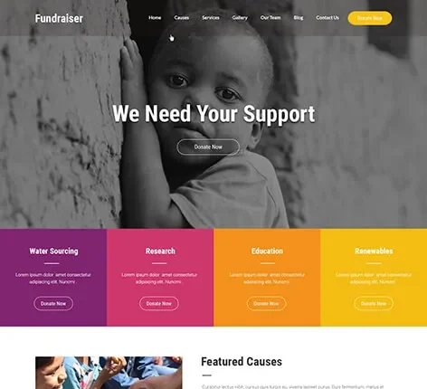 Crowdfunding WordPress theme