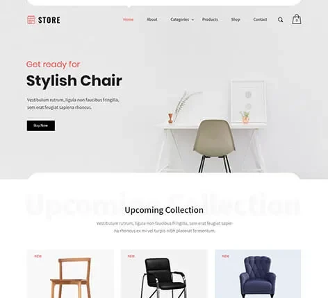 eCommerce WordPress Theme