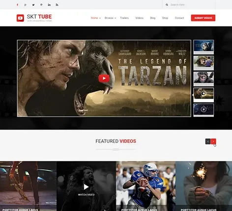 Video Gallery WordPress Theme
