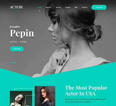 Comedian WordPress Theme
