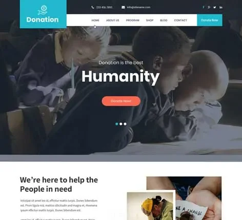 Donation WordPress Theme