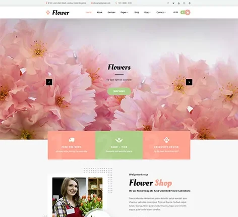 Storefront WordPress Theme