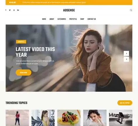 Adsense Optimized WordPress Theme