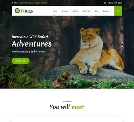 Safari WordPress theme