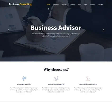 Business Advisor WordPress theme