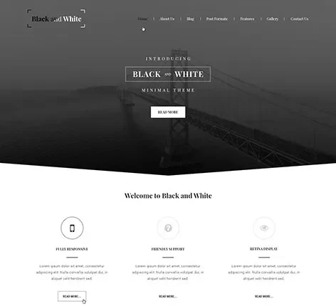 Black and White WordPress Theme