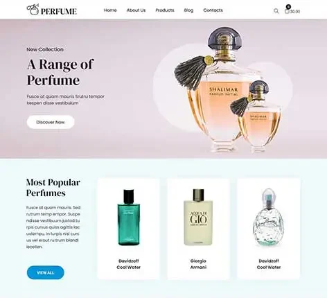 SKT Divi Child eCommerce Theme