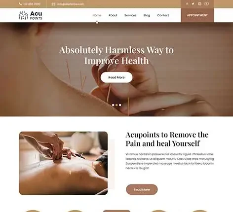 Acupuncture WordPress Theme