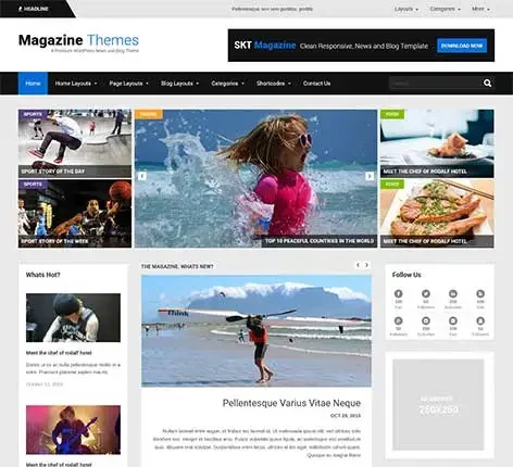 2 or 3 Column WordPress Theme