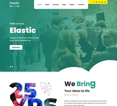 Award Winning WordPress Theme