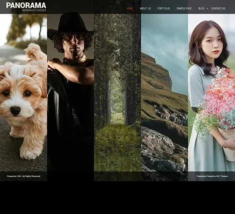 Chroma WordPress Theme