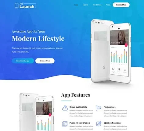 Developer WordPress Theme