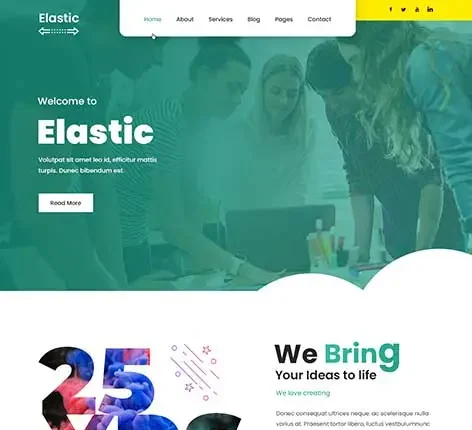 Dynamic WordPress Theme