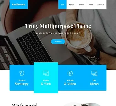 Feature Rich And Multi Concept WordPress Theme