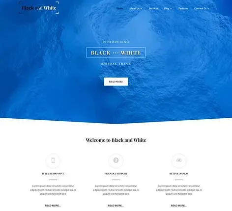 Feature Rich WordPress Theme