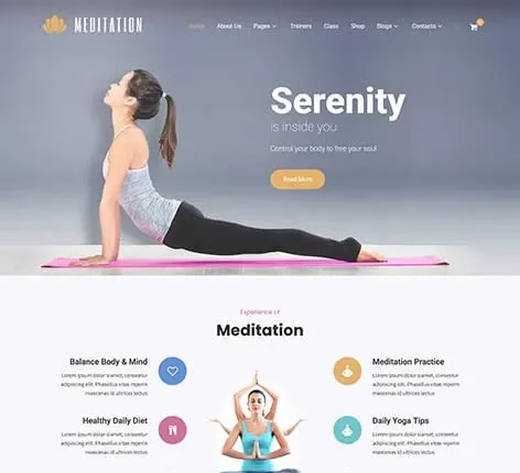 Holistic WordPress Theme