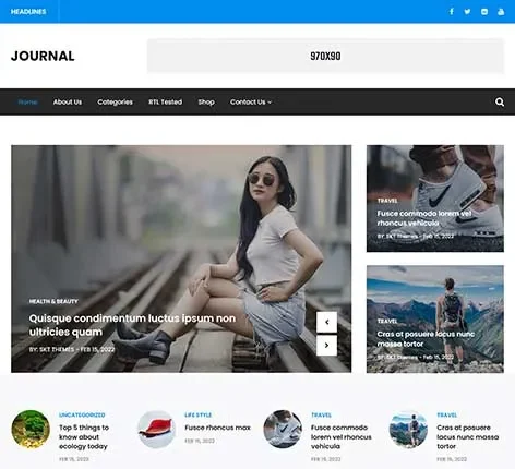 Journal WordPress Theme