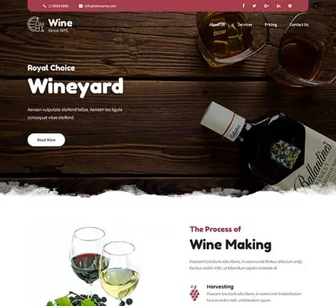 Liquor Store Woocommerce Theme