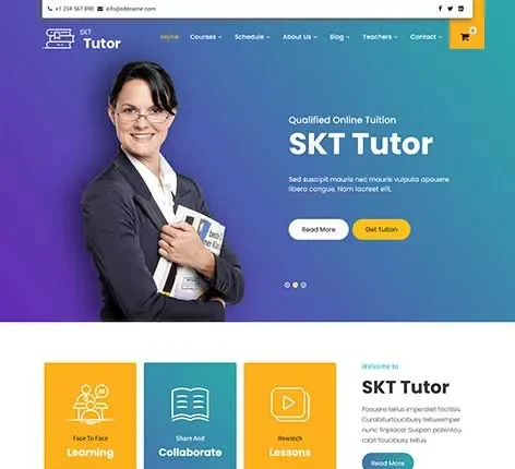 Online Test WordPress Theme