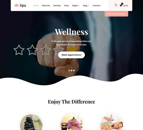 Reviews WordPress Theme