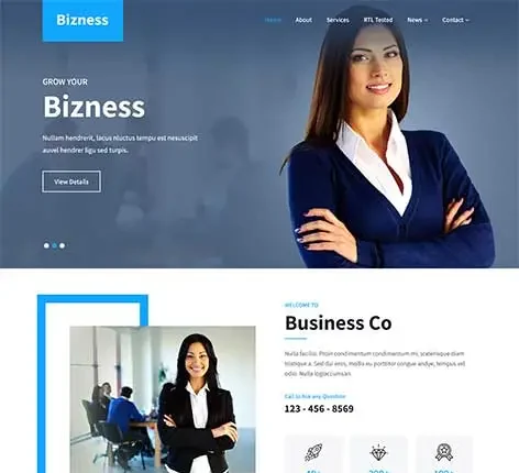 Service Provider WordPress Theme