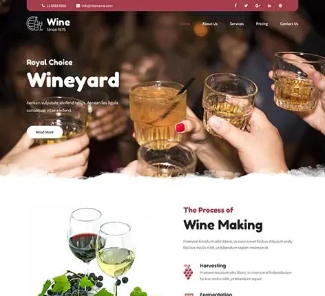 Social Club WordPress Theme