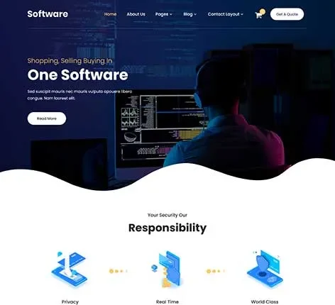 Software Developer WordPress Theme