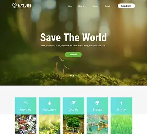 Spring WordPress Theme
