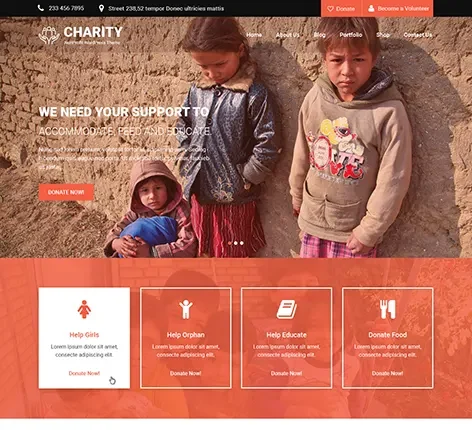 Volunteer WordPress Theme