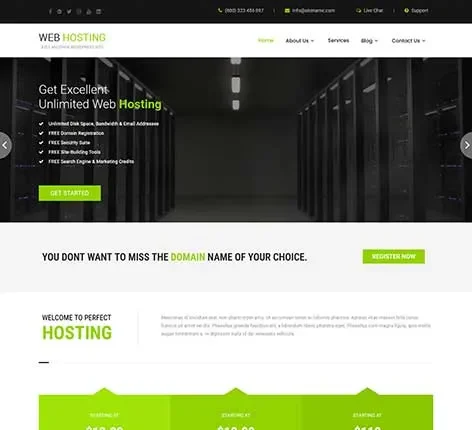Website Hosting WordPress Theme